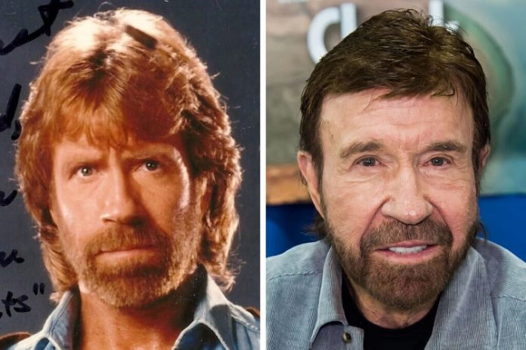 chuck norris net worth