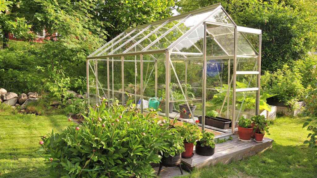 Lean-To Greenhouses Facts About In FFA Customer Reviews